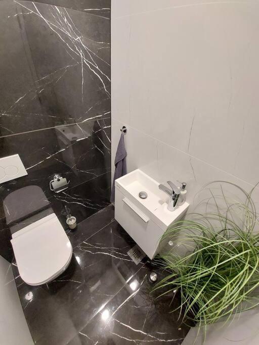Luxury Apartment Ljubljana Kültér fotó